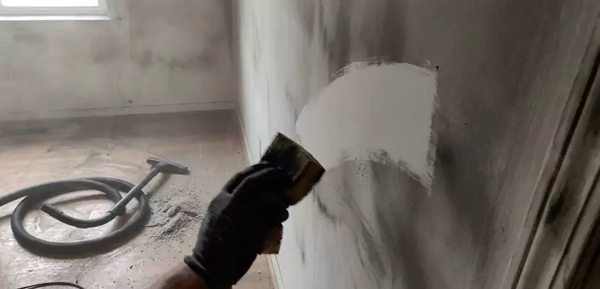 Professional Water and Fire Damage Restoration Services in Braselton, GA