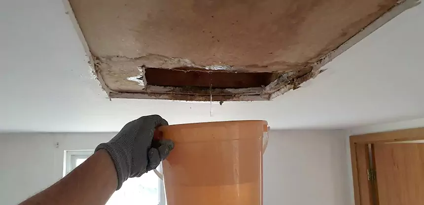 Ceiling Mold Repair Braselton