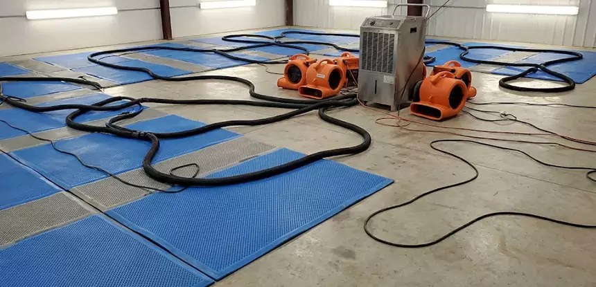 Professional Flooded Carpet Drying Services in Braselton, GA